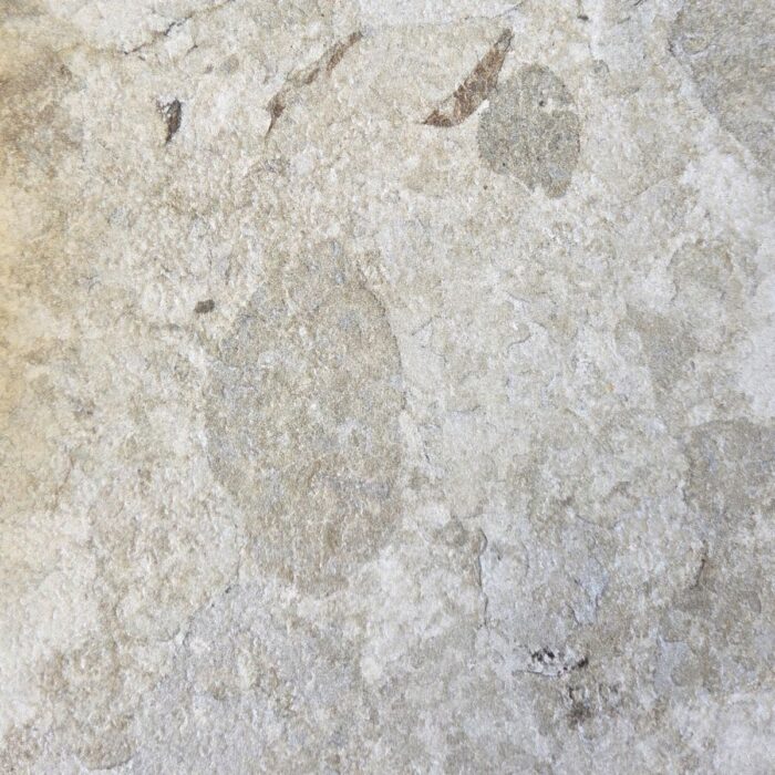 872 Fragment Burn